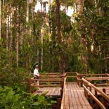 Puente sobre los Aguajales