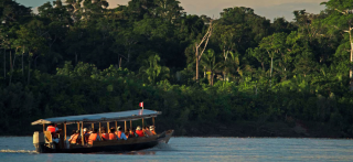 Hidden Wonders of the Amazon: Four Lesser-Known Facts That Will Amaze You