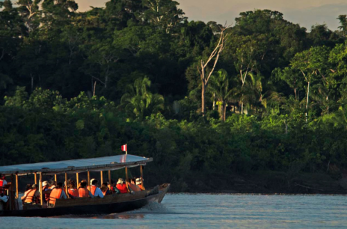 Hidden Wonders of the Amazon: Four Lesser-Known Facts That Will Amaze You