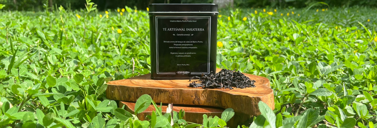 Inkaterra’s Organic Tea: From Machu Picchu to the World